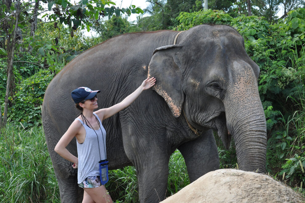 Słonie W Tajlandii (7)