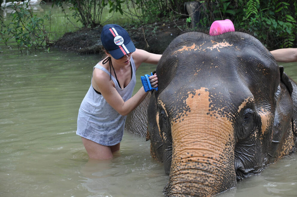 Słonie W Tajlandii (9)