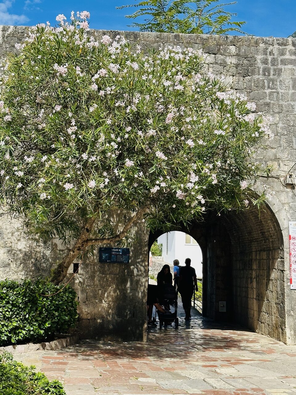 Kotor Czarnogóra